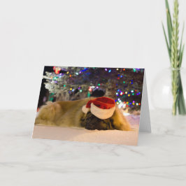 Weihnachtskarte SchlafensLeonberger Feiertagskarte