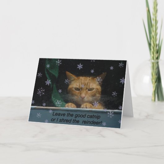 Weihnachtskarte 'Shred rhe Reindeer' Feiertagskarte (Vorderseite)