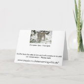 Weihnachtskarte - sibirischer Luchs Feiertagskarte (Rückseite)