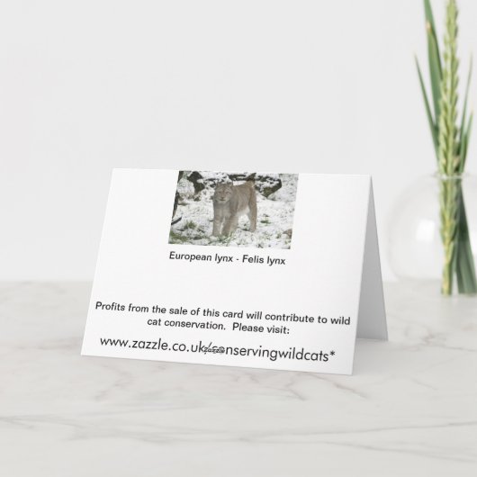 Weihnachtskarte - sibirischer Luchs Feiertagskarte (Rückseite)