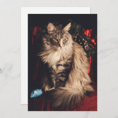 Weihnachtskarte Smilla V1 Feiertagskarte (Vorne/Hinten)