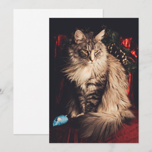 Weihnachtskarte Smilla V1 Feiertagskarte (Vorne/Hinten)