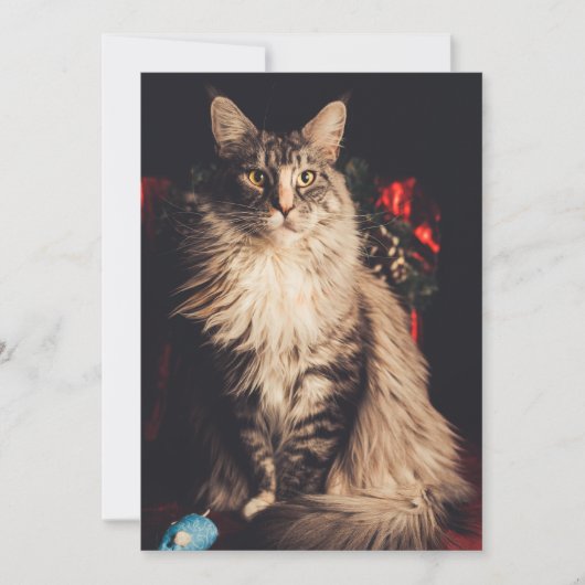 Weihnachtskarte Smilla V2 Feiertagskarte (Vorderseite)