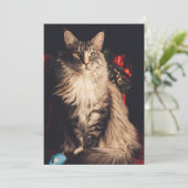 Weihnachtskarte Smilla V2 Feiertagskarte (Stehend Vorderseite)