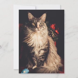 Weihnachtskarte Smilla V2 Feiertagskarte