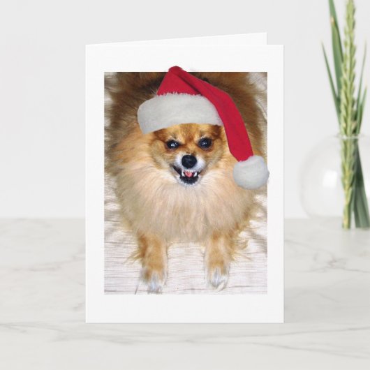Weihnachtskarte | Spitz Santa Dog Feiertagskarte (Vorderseite)