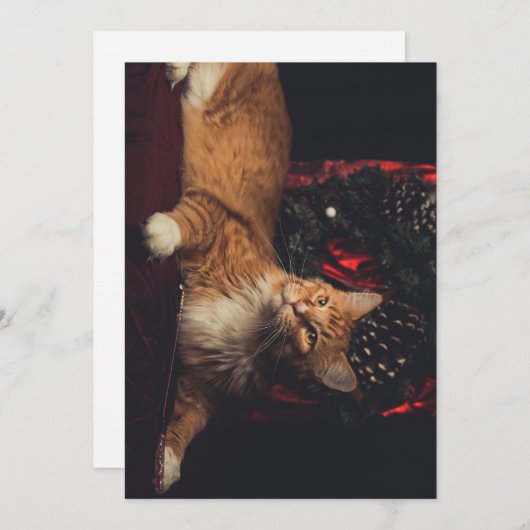 Weihnachtskarte Tarzan V1 Feiertagskarte (Vorne/Hinten)