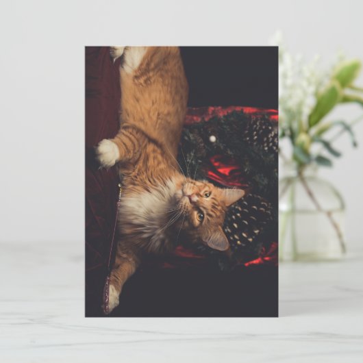 Weihnachtskarte Tarzan V1 Feiertagskarte (Stehend Vorderseite)