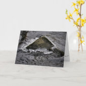 Weihnachtskarte "The Living Rock" Karte (Gelbe Blume)