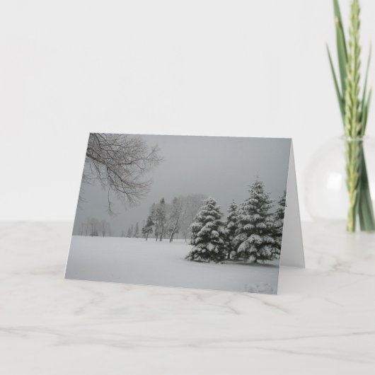 Weihnachtskarte "Tiefe des Winters" Feiertagskarte (Vorderseite)