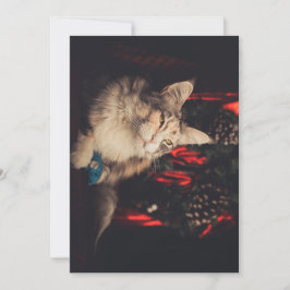 Weihnachtskarte Titiyo V3 Feiertagskarte