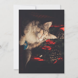 Weihnachtskarte Titiyo V3 Feiertagskarte