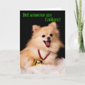 Weihnachtskarte vom Hund Feiertagskarte (Vorderseite)