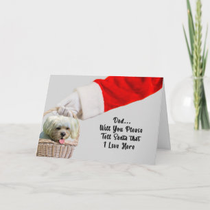 Weihnachtskarte von Hund und Santa Karte