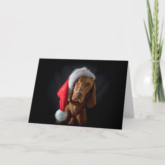 Weihnachtskarte / Weihnachtskarte "Magyar Vizsla" Feiertagskarte (Vorderseite)
