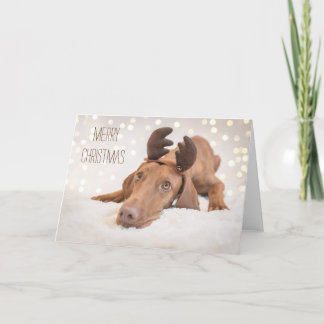 Weihnachtskarte / Weihnachtskarte "Magyar Vizsla" Feiertagskarte