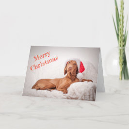Weihnachtskarte / Weihnachtskarte "Magyar Vizsla" Feiertagskarte