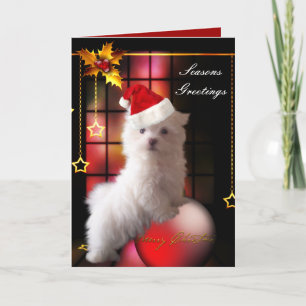 Weihnachtskarte Weißer Malteser Welpe Feiertagskarte