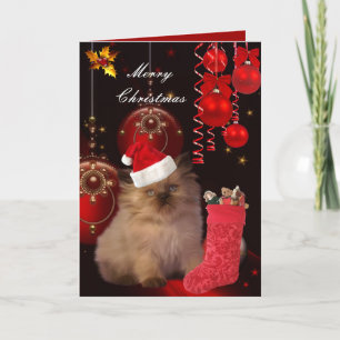 Weihnachtskarte Xmas Katze Hut Feiertagskarte
