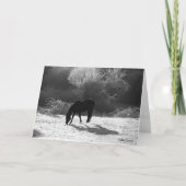 Weihnachtskarten 2012 feiertagskarte (Vorderseite)