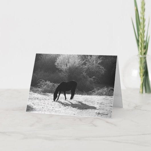 Weihnachtskarten 2012 feiertagskarte (Vorderseite)