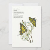 Weihnachtskarten Feiertagskarte (Vorderseite)