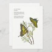 Weihnachtskarten Feiertagskarte (Vorne/Hinten)