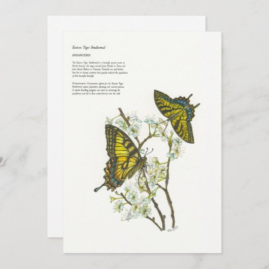 Weihnachtskarten Feiertagskarte (Vorne/Hinten)