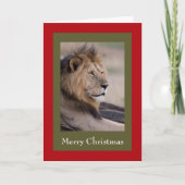 Weihnachtskarten Feiertagskarte (Vorderseite)