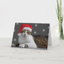 Weihnachtskarten Feiertagskarte