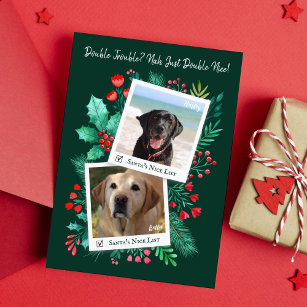 Weihnachtskarten für Hunde Foto Weihnachtskarte Feiertagskarte