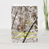 Weihnachtskarten für Kardinäle Feiertagskarte (Rückseite)