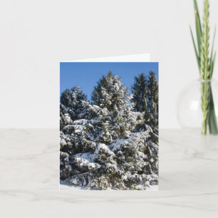 Weihnachtskarten für Landschaften Feiertagskarte