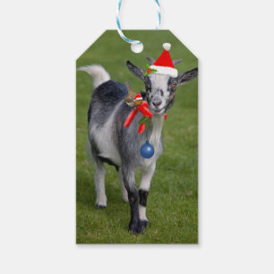Weihnachtskarten-Geschenk-Tags Geschenkanhänger