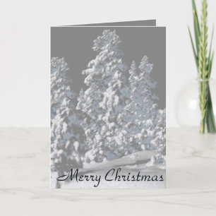 Weihnachtskarten - Silver Snowy Trees Feiertagskarte