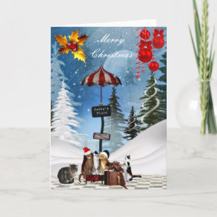 Weihnachtskarten Weihnachten Weihnachten Katzen Ha
