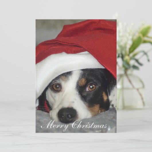 Weihnachtskartenbild des Hundes. Einladung (Stehend Vorderseite)