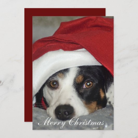 Weihnachtskartenbild des Hundes. Einladung (Vorne/Hinten)