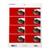 Weihnachtskartentafel (Vorne)