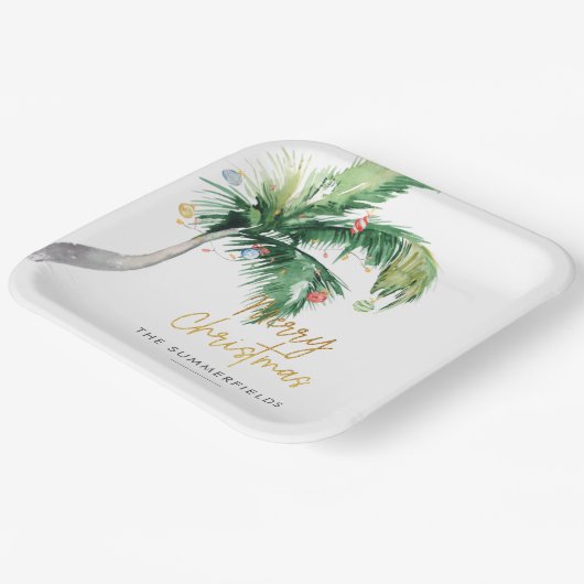 Weihnachtskastenpalme Pappteller (Gewinkelt)