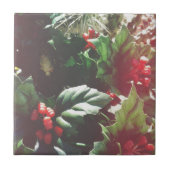 Weihnachtskatctus Fliese (Vorderseite)