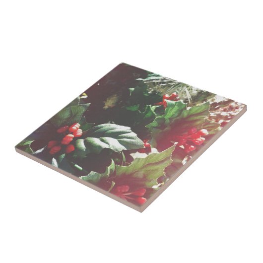 Weihnachtskatctus Fliese (Seite)