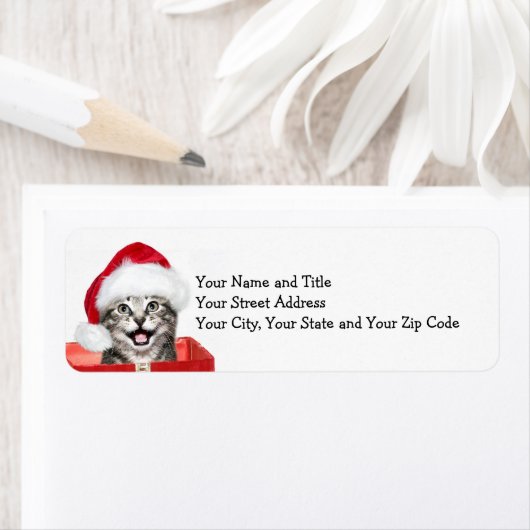 Weihnachtskätzchen (Insitu)