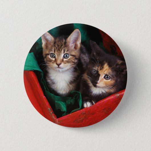 Weihnachtskätzchen Button (Vorderseite)