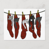 Weihnachtskätzchen | Chatons de Nöel Postcard Postkarte (Vorderseite)