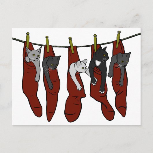 Weihnachtskätzchen | Chatons de Nöel Postcard Postkarte (Vorderseite)