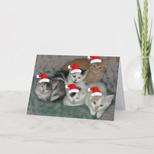 Weihnachtskätzchen Feiertagskarte