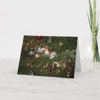Weihnachtskätzchen Feiertagskarte