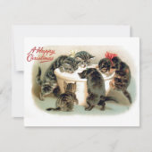 Weihnachtskätzchen Feiertagskarte (Vorderseite)