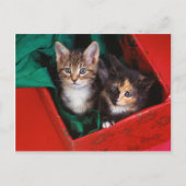 Weihnachtskätzchen Feiertagspostkarte (Vorderseite)